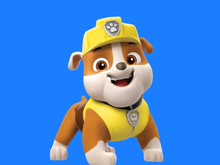 what kind of dogs are the paw patrol
