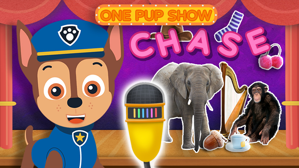 One Pup Show: Chase!